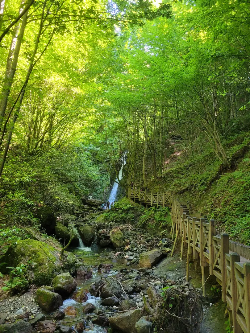 Aydınpınar Wasserfall Naturpark — Düzce — küçük resim 3