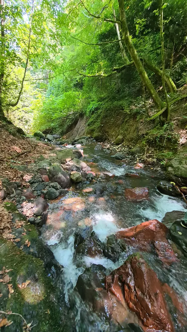 Aydınpınar Wasserfall Naturpark — Düzce — küçük resim 9