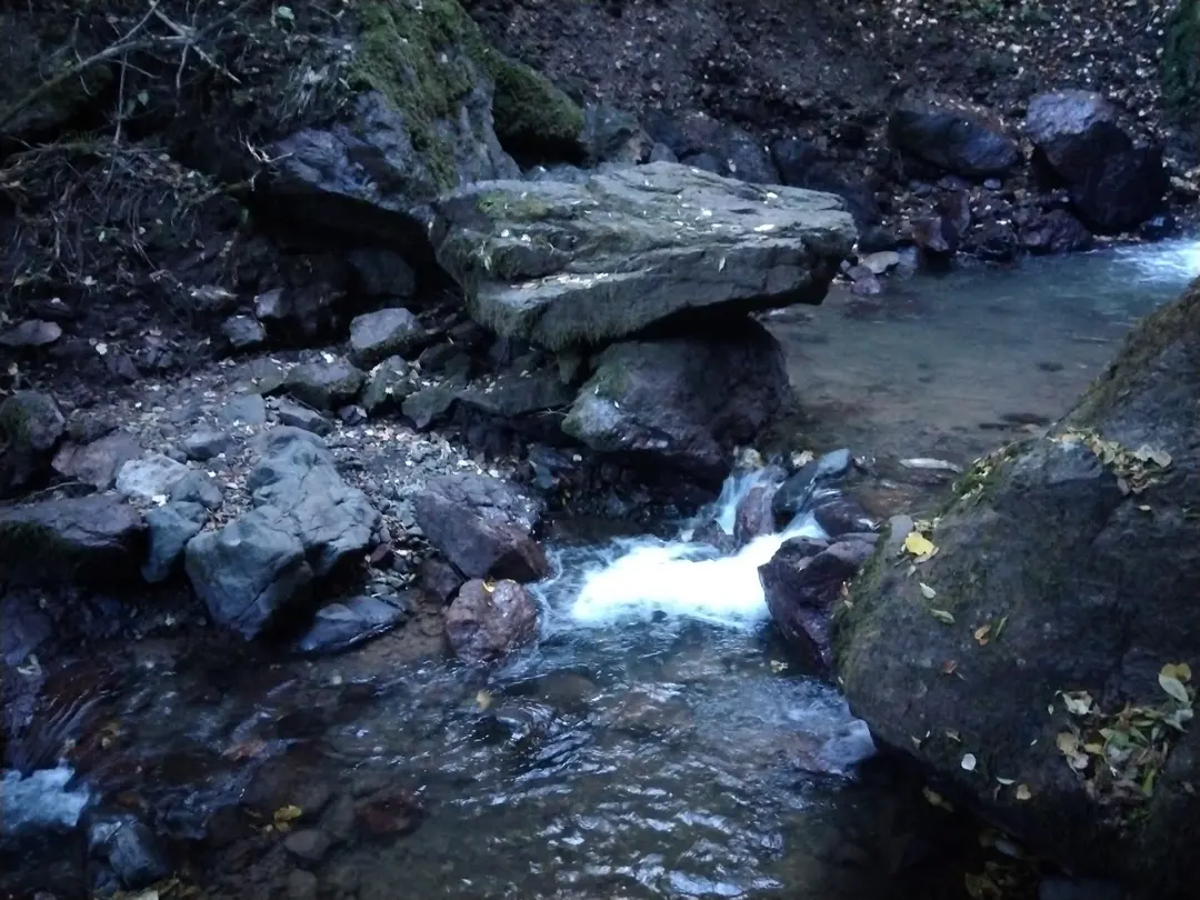 Aydınpınar Wasserfall Naturpark — Düzce — küçük resim 8