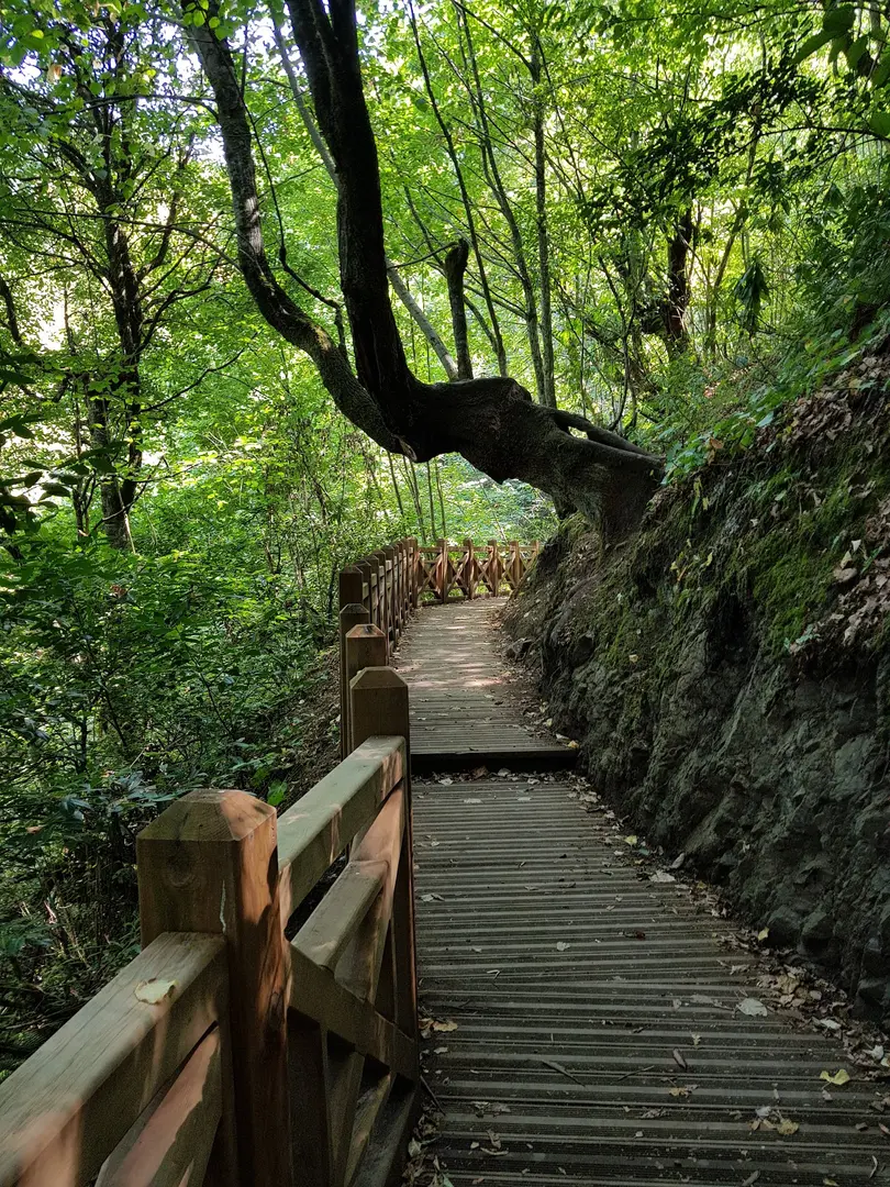 Aydınpınar Wasserfall Naturpark — Düzce — küçük resim 4