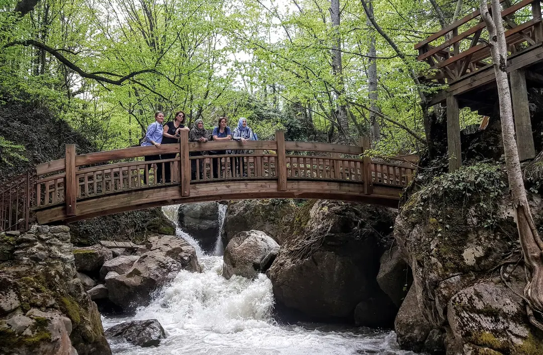 Samandere Vandfald Naturmonument — Düzce — fotoğraf 1