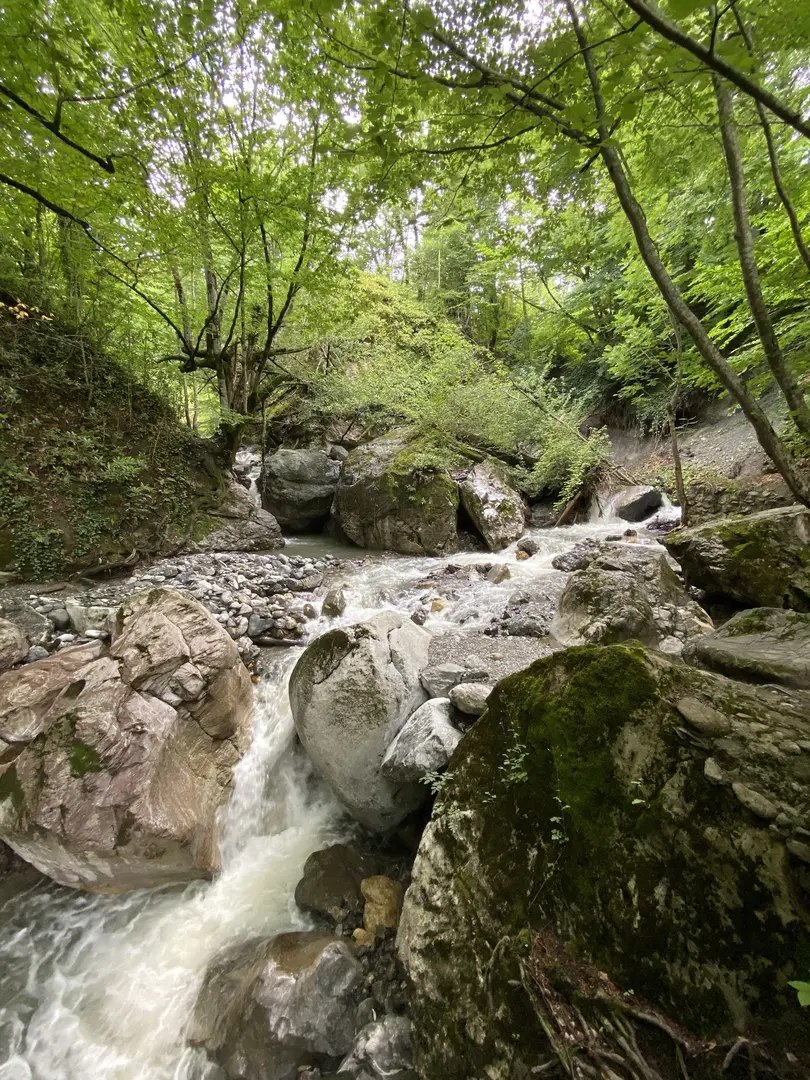 Samandere Vandfald Naturmonument — Düzce — küçük resim 6