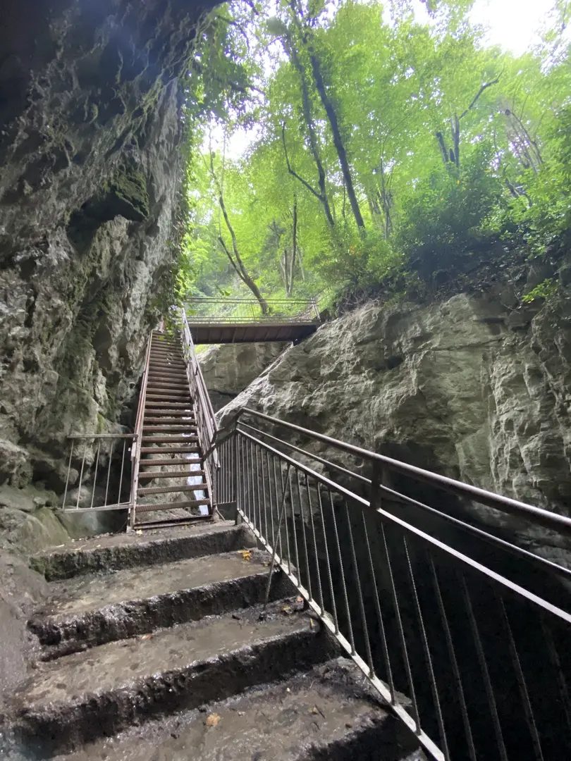Samandere Vandfald Naturmonument — Düzce — küçük resim 10