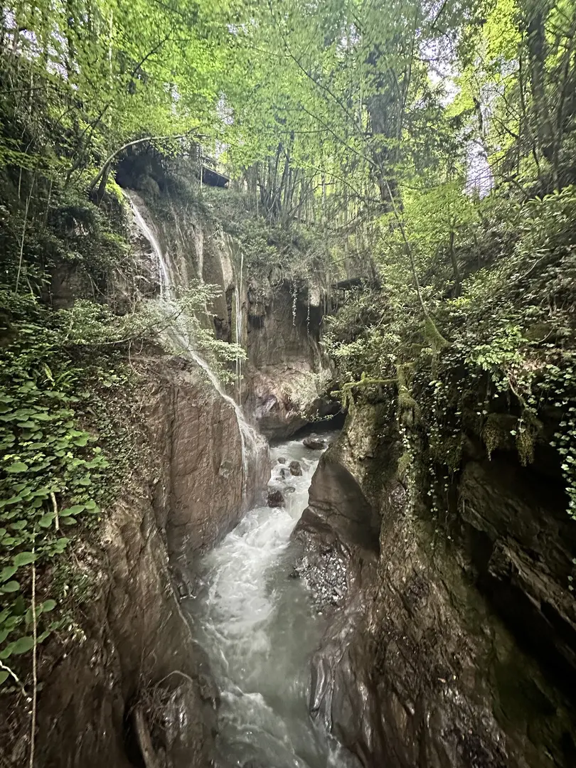 Samandere Vandfald Naturmonument — Düzce — küçük resim 7