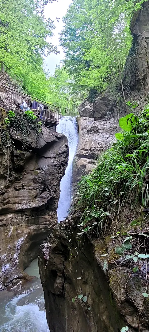 Samandere Vandfald Naturmonument — Düzce — küçük resim 2
