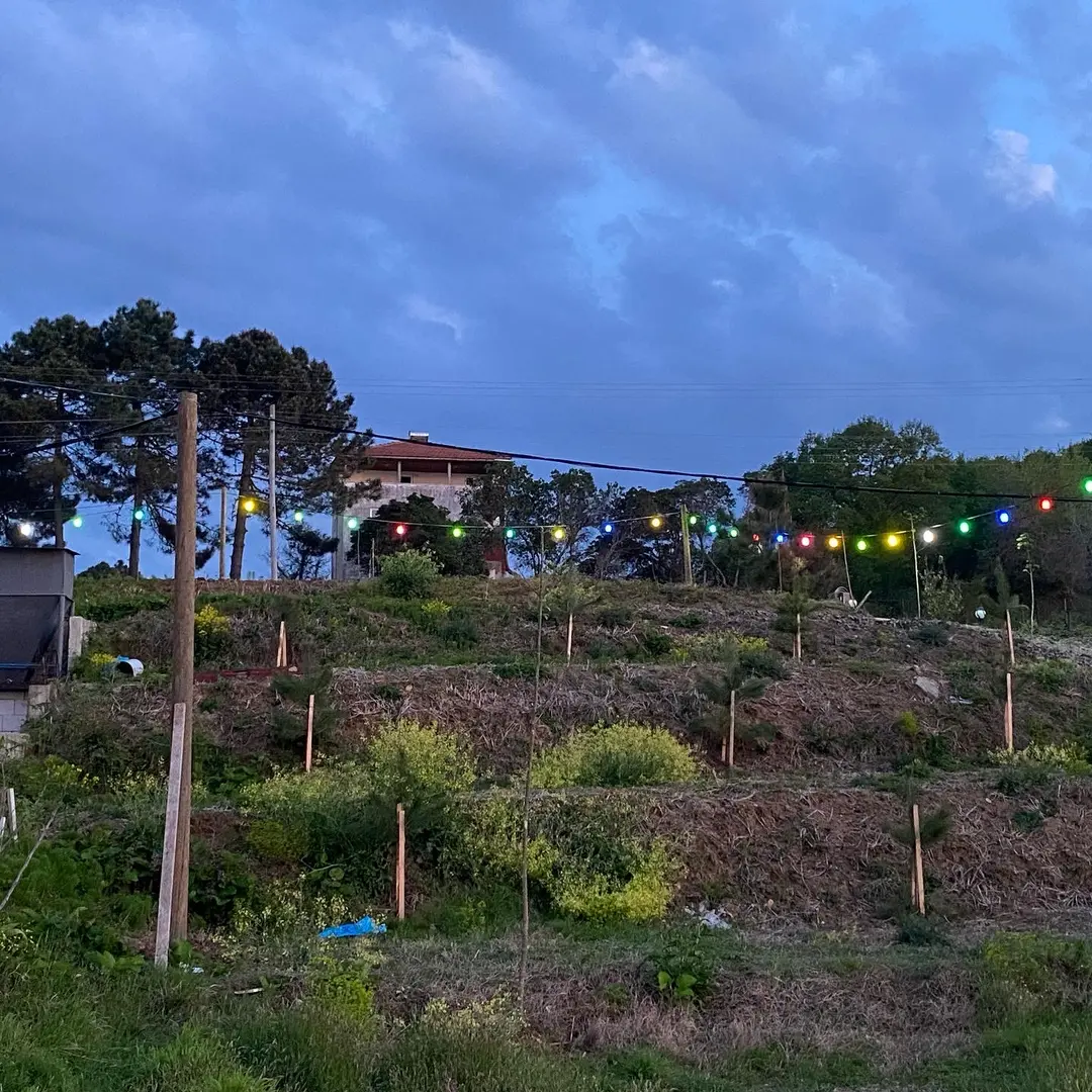 Georgia Camping — Düzce — küçük resim 7
