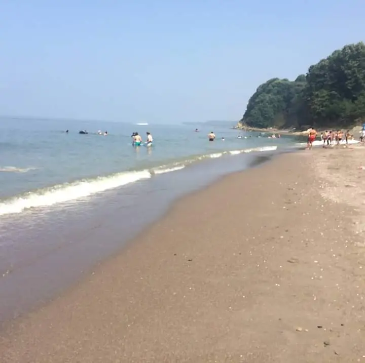 Cemal Reis Camping — Düzce — küçük resim 4