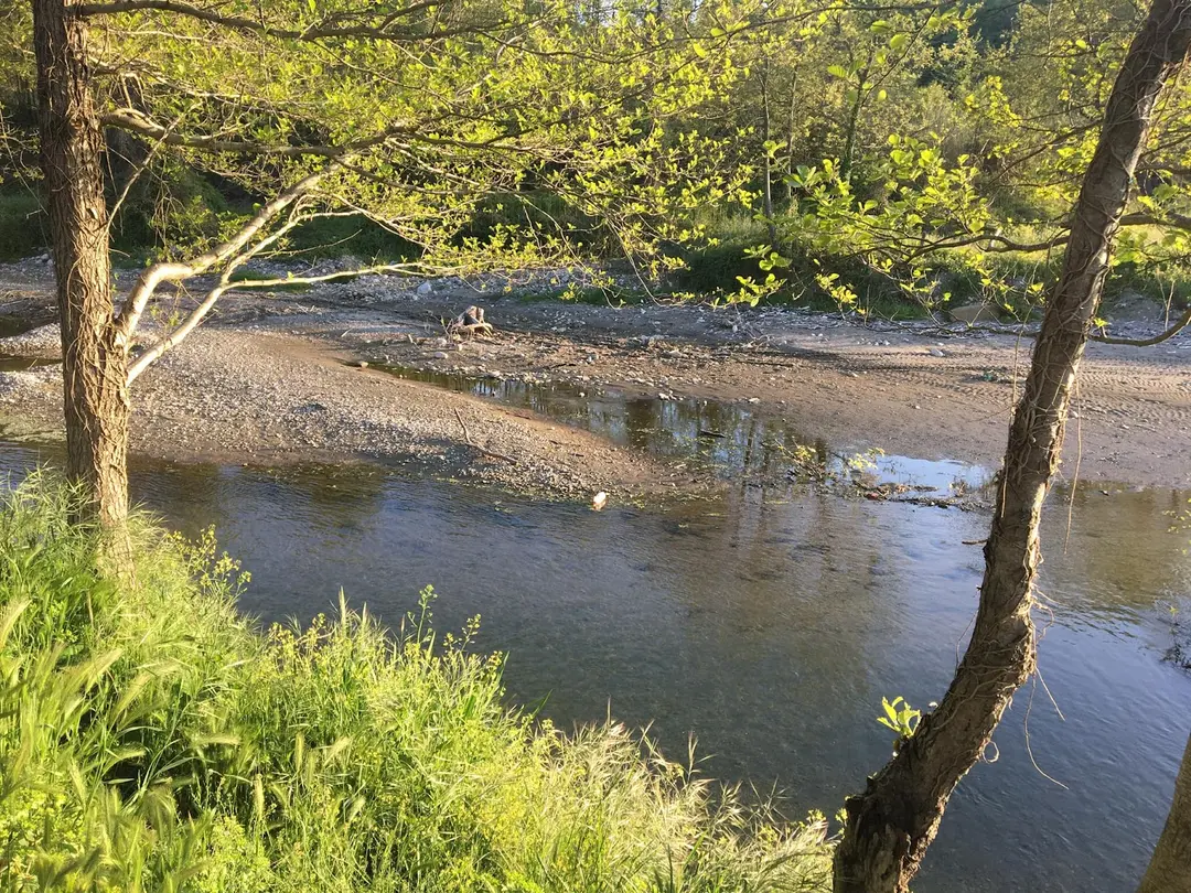 Akçakoca Deniz Camp — Düzce — küçük resim 5