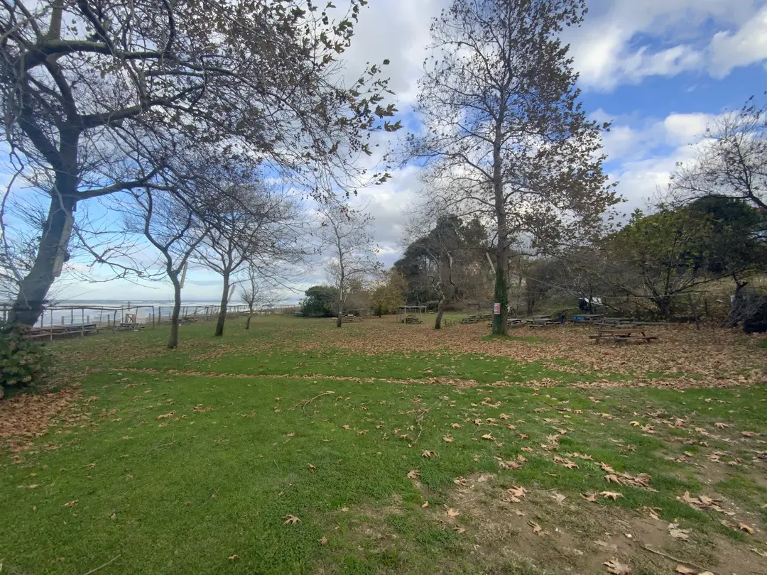 strand campingplads — Düzce — küçük resim 5