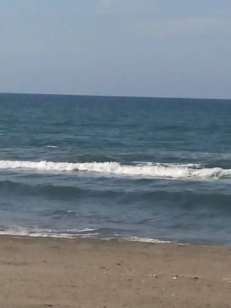 Karadeniz 777 Camping — Düzce — küçük resim 7