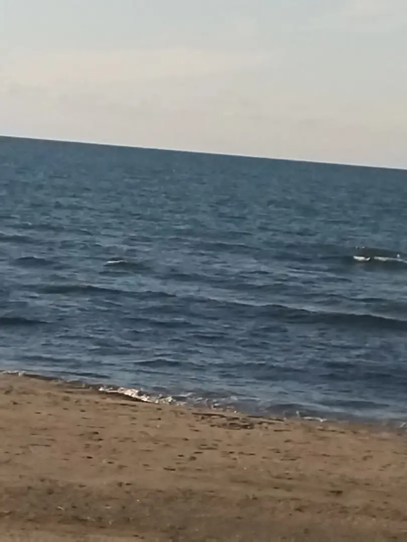 Karadeniz 777 Camping — Düzce — küçük resim 6