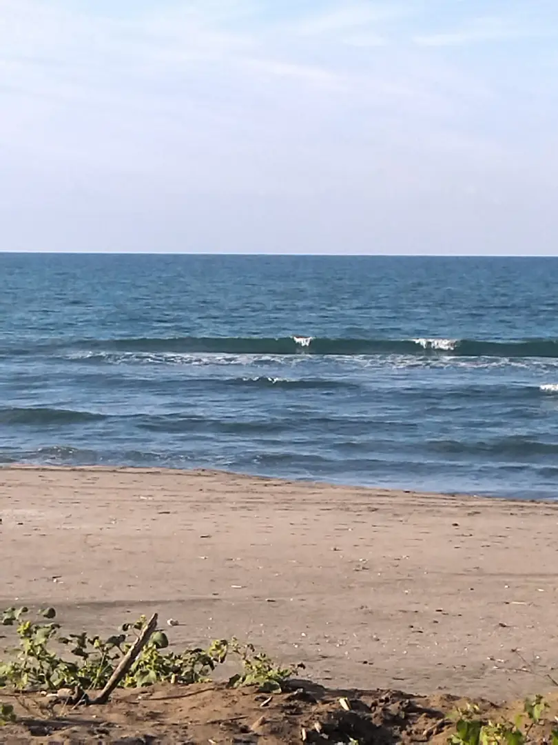Karadeniz 777 Camping — Düzce — küçük resim 3