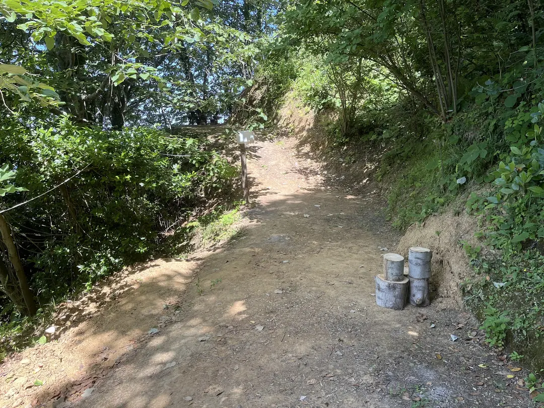 Çakırkeyif Camping — Düzce — küçük resim 5