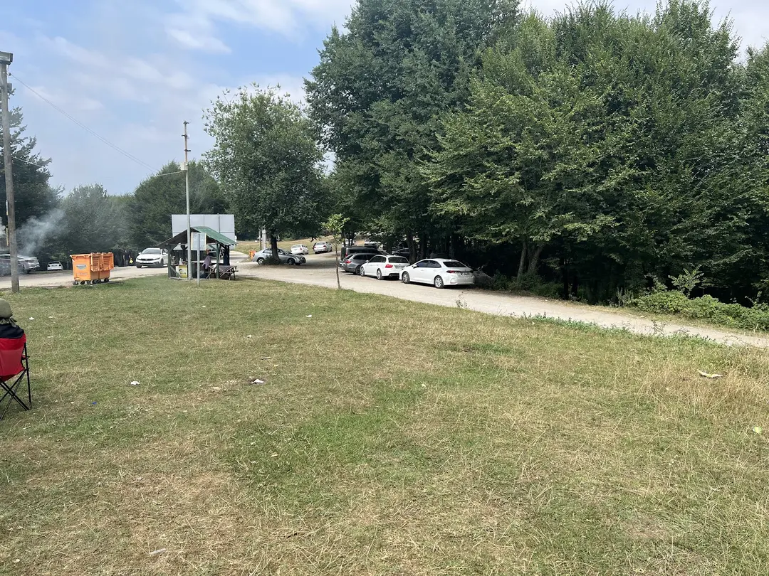 Kaynaşlı Gırgın Meadow Recreation and Picnic Area — Düzce — küçük resim 3