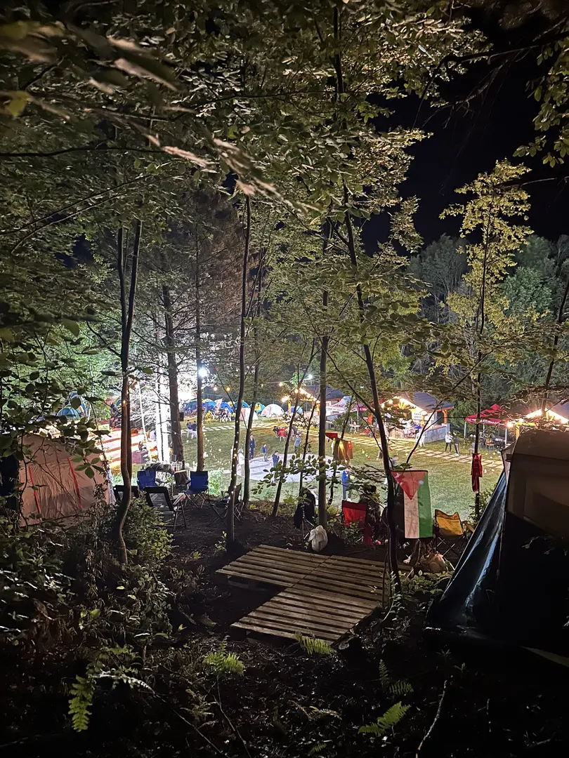 Sarıkaya Camping and Recreation Area — Düzce — küçük resim 6