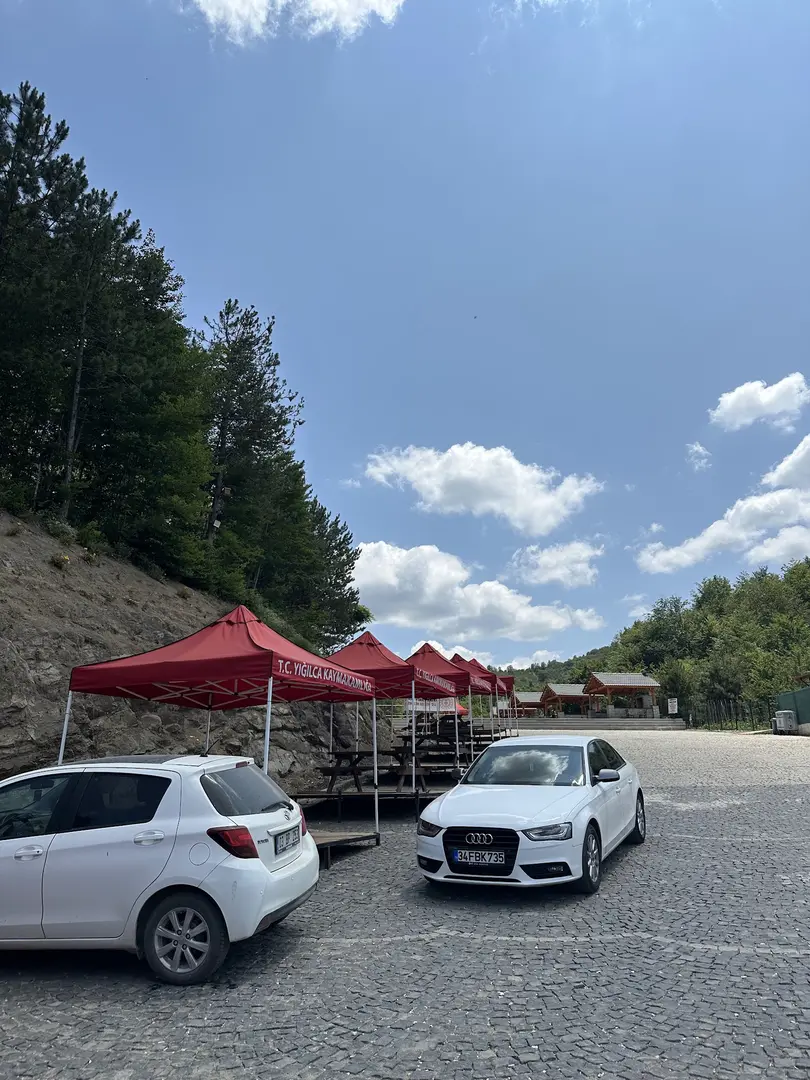 Sarıkaya Camping and Recreation Area — Düzce — küçük resim 7
