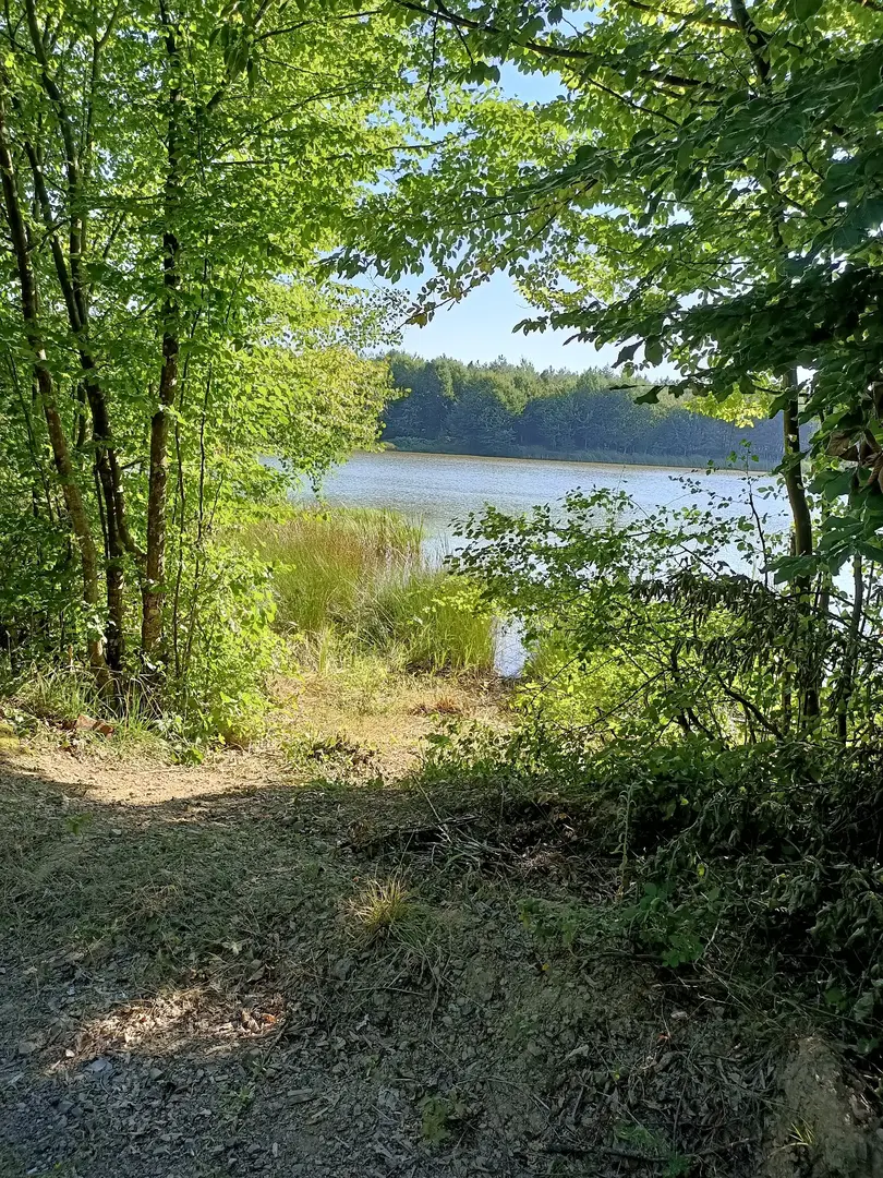 Korugöl Nature Park — Düzce — küçük resim 3