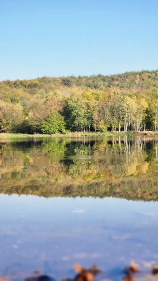 Korugöl Nature Park — Düzce — küçük resim 2