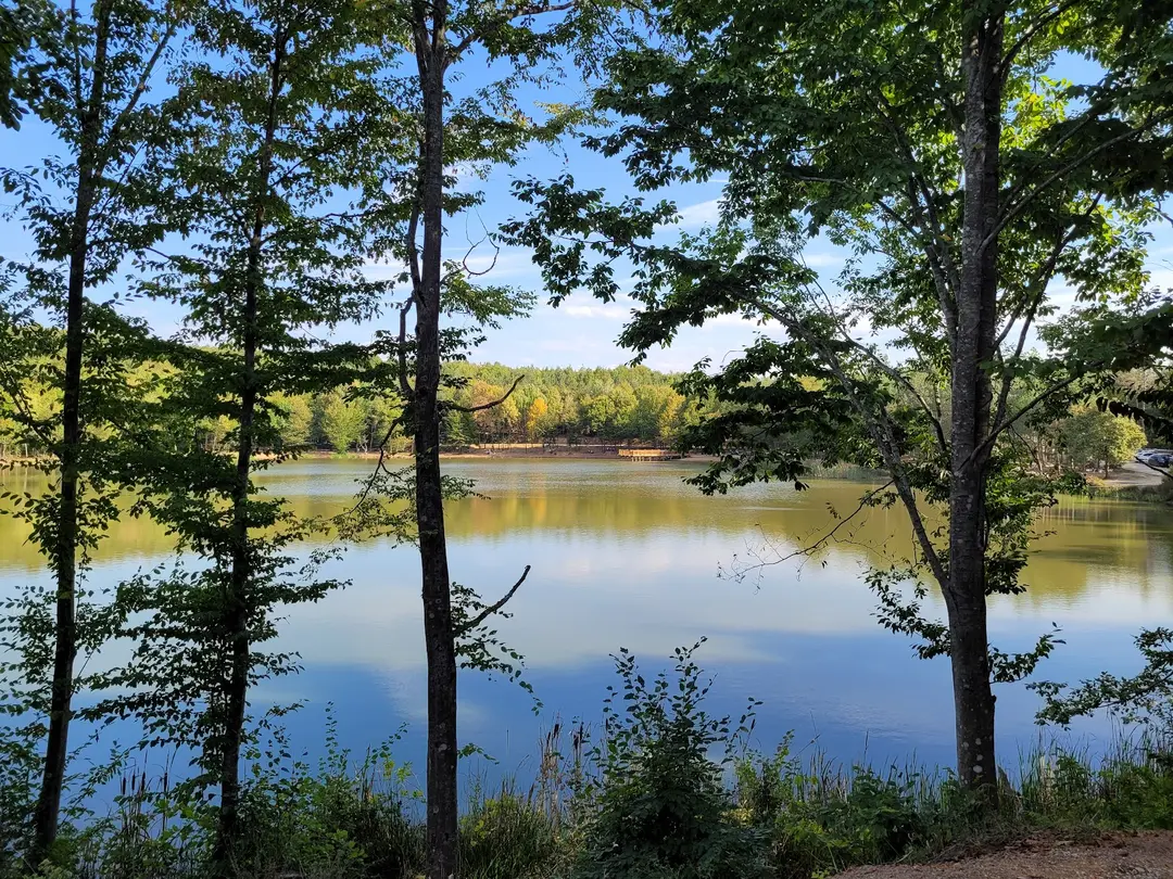 Korugöl Nature Park — Düzce — küçük resim 6