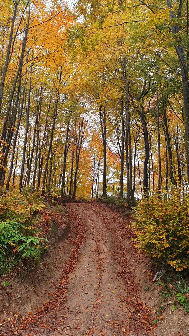 Korugöl Nature Park — Düzce — küçük resim 4