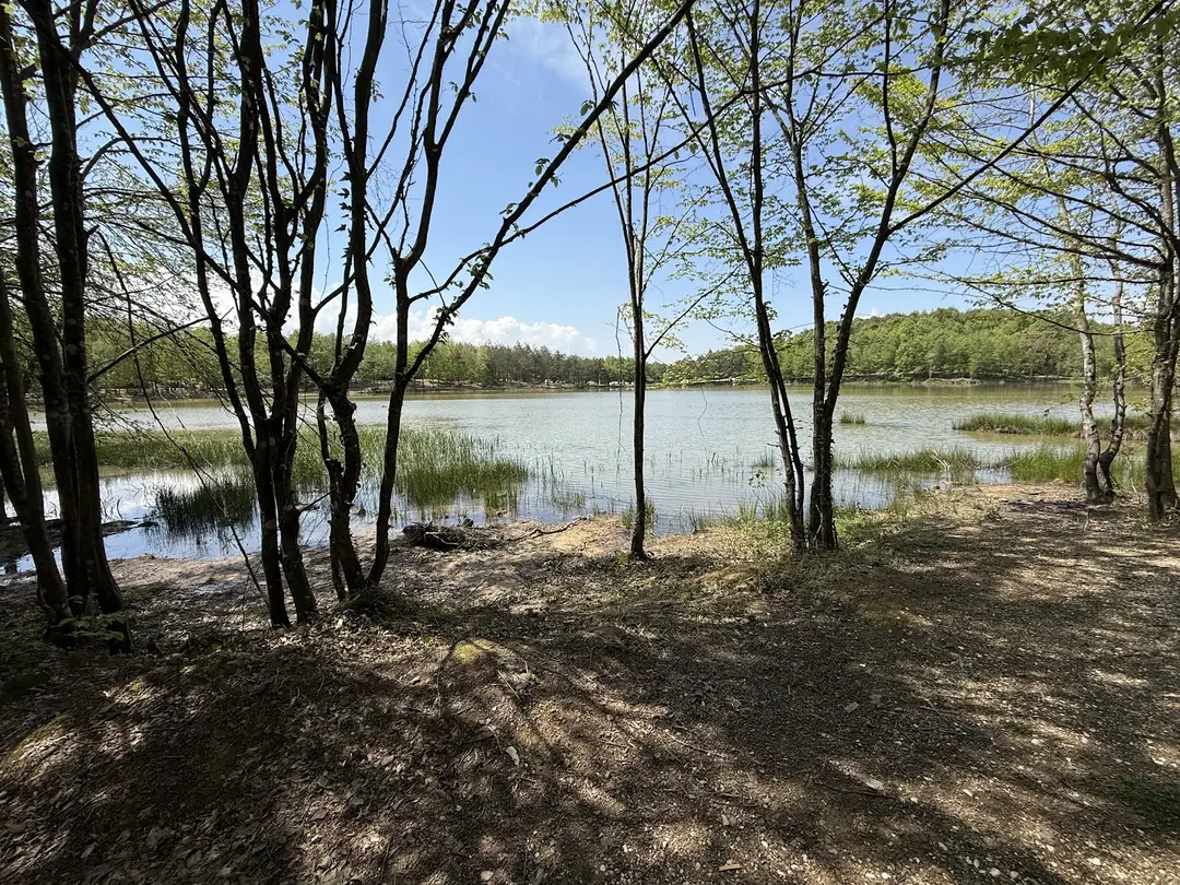 Korugöl Nature Park — Düzce — küçük resim 10