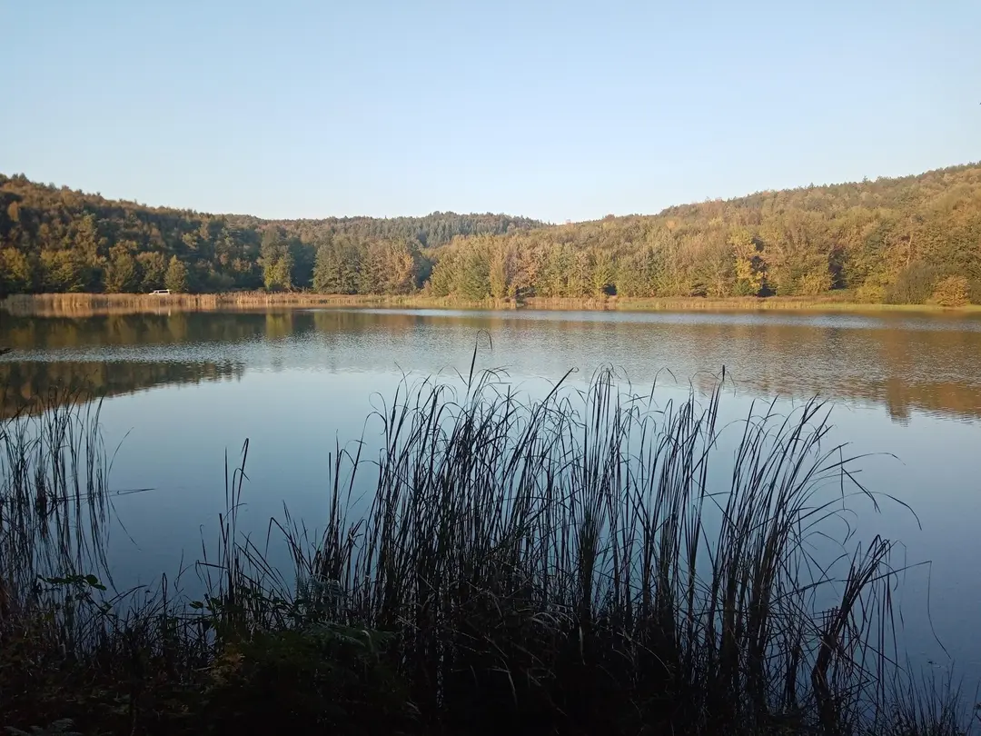 Korugöl Tabiat Parkı