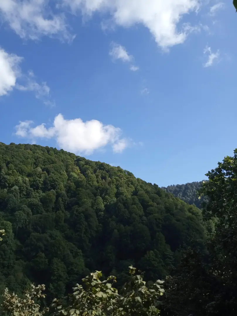 Cascada Aktaş — Düzce — küçük resim 9