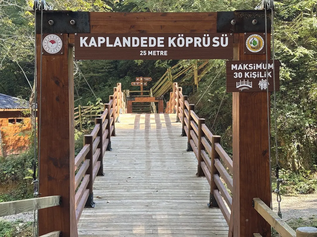 Cascada Aktaş — Düzce — küçük resim 7