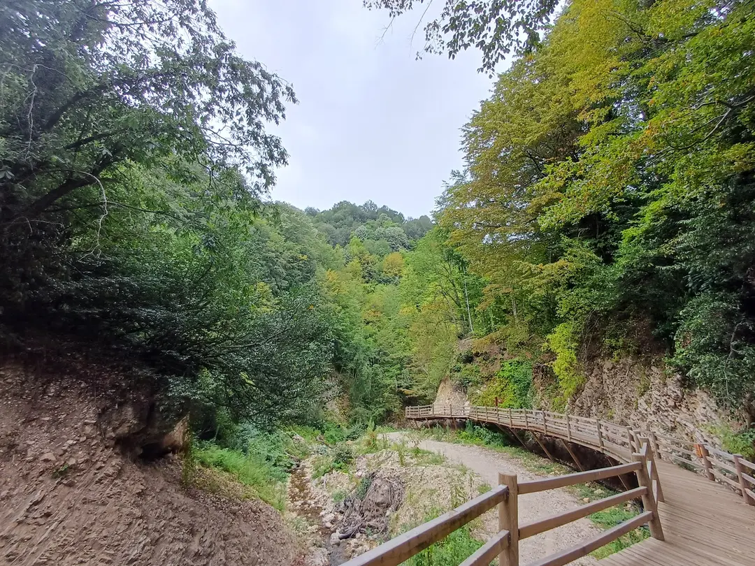Cascada Aktaş — Düzce — küçük resim 6