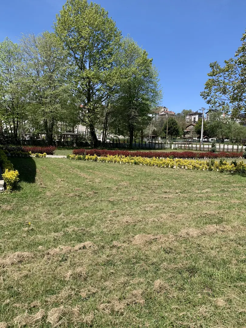 Hamburg Dutdibi — Düzce — küçük resim 5
