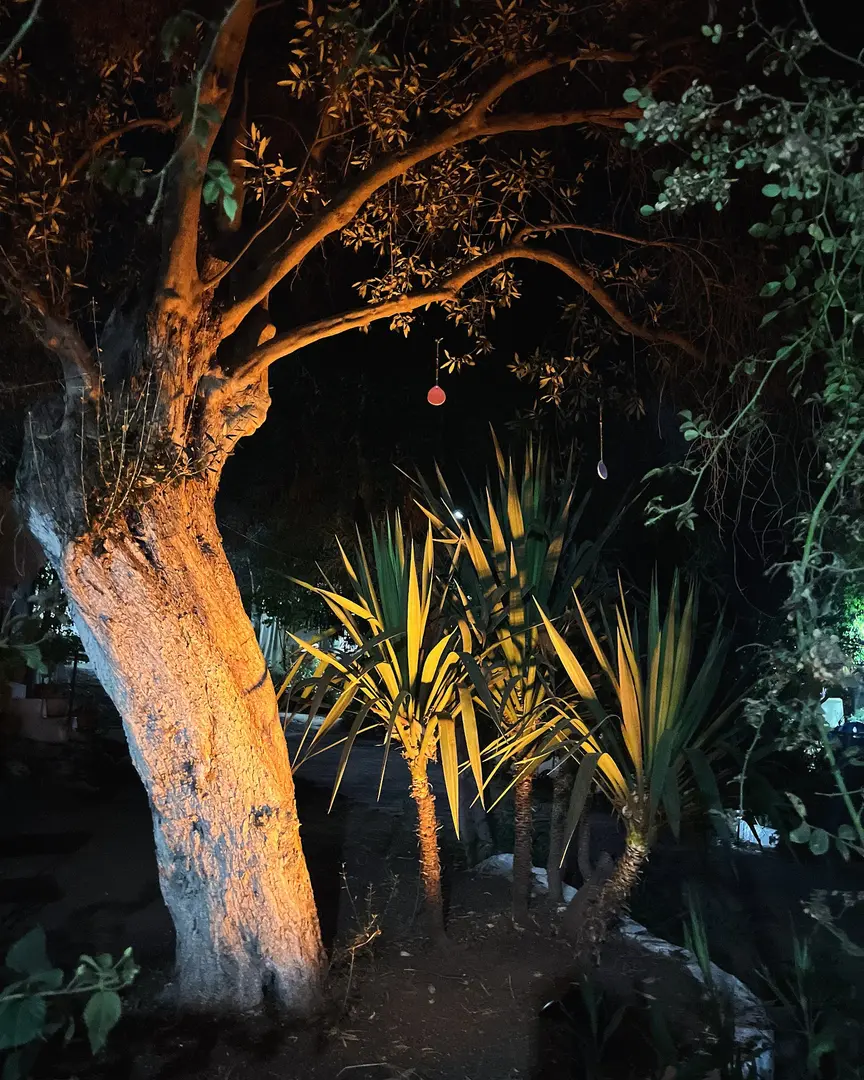 Kaya Camping — Muğla — küçük resim 6