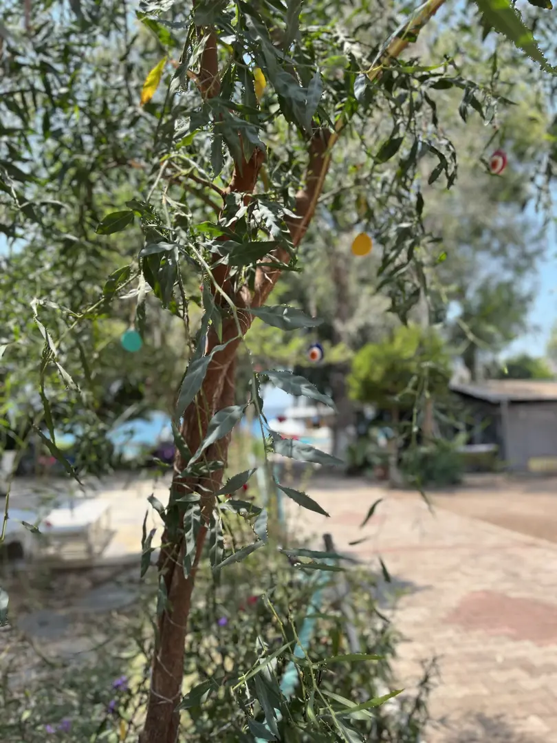 Kaya Camping — Muğla — küçük resim 7
