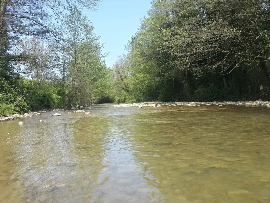 Cumayanı Mesire Alanı — Düzce — küçük resim 2