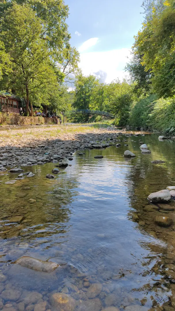 Cumayanı Mesire Alanı — Düzce — küçük resim 4