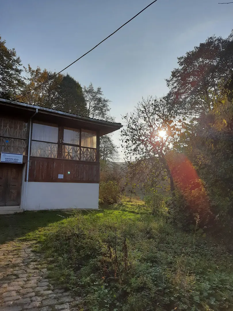 Cumayanı Mesire Alanı — Düzce — küçük resim 5