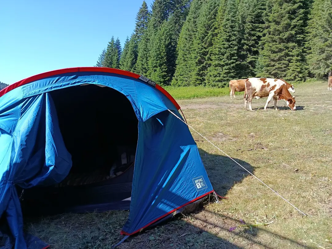 Pürenli yaylası — Düzce — küçük resim 4
