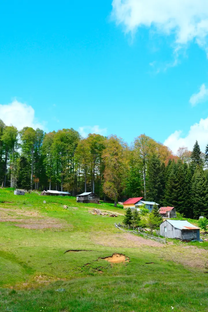 Pürenli yaylası — Düzce — küçük resim 3