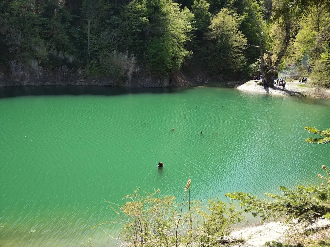 Sülüklü Göl Kamp — Bolu — küçük resim 7