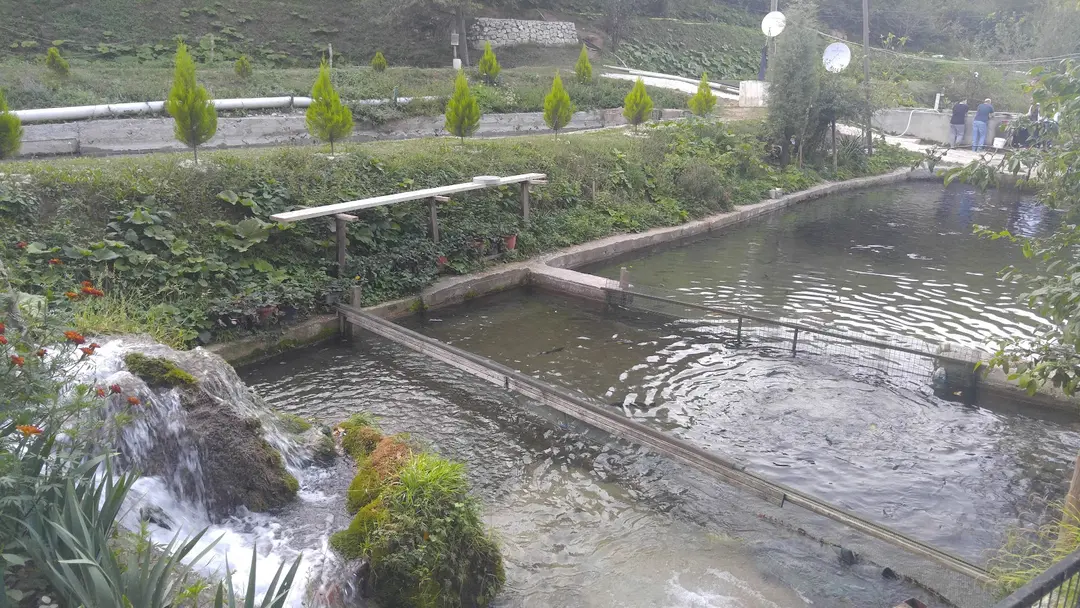 Sülüklü Göl Kamp — Bolu — küçük resim 9