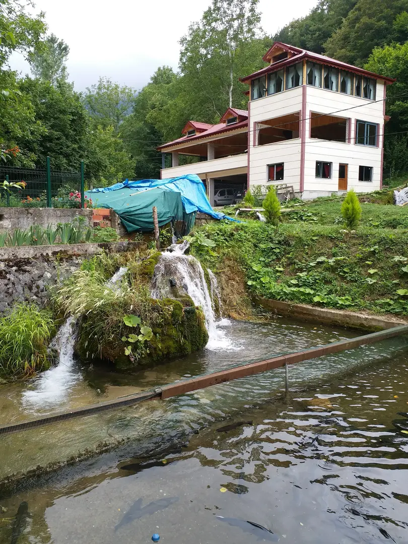 Sülüklü Göl Kamp — Bolu — küçük resim 3