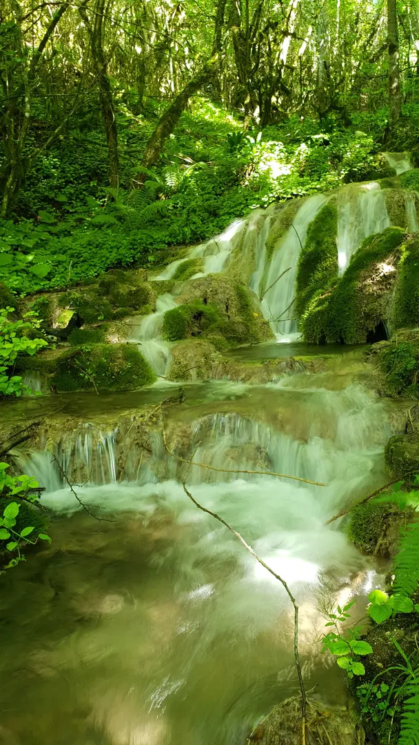 Sülüklü Göl Kamp — Bolu — küçük resim 8