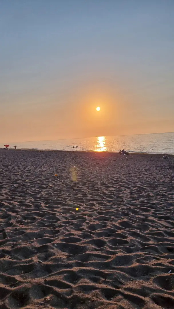 YILMAZ Pansiyon & Camping & Picnic & Fishing — Düzce — küçük resim 2
