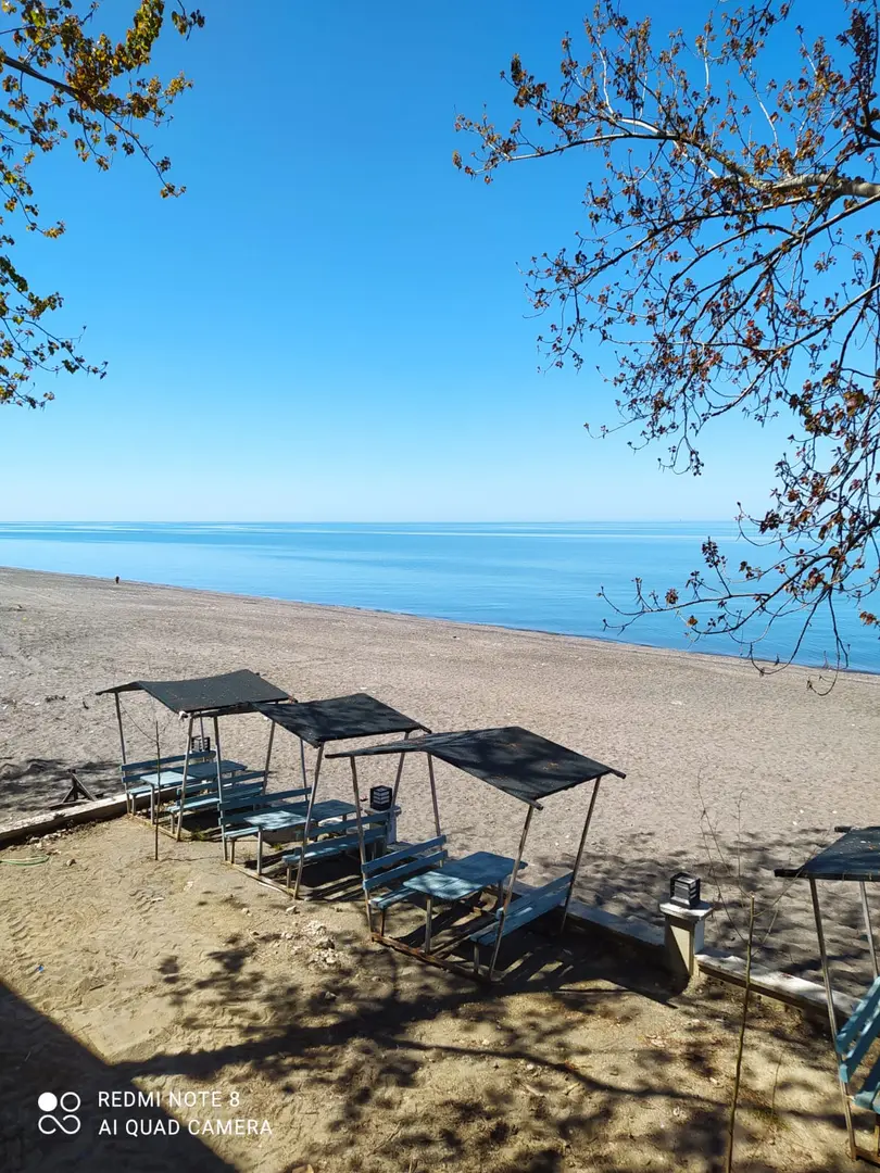 YILMAZ Pansiyon & Camping & Picnic & Fishing — Düzce — küçük resim 5