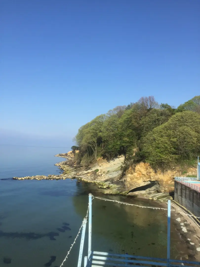 Villaggio Vacanze Mare Nascosto — Düzce — küçük resim 4