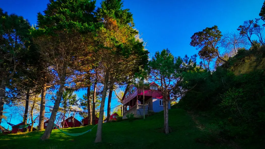 Villaggio Vacanze Mare Nascosto — Düzce — küçük resim 5
