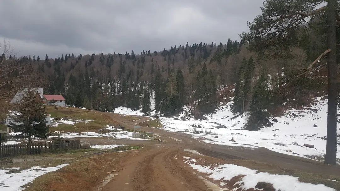 Derebalık Yaylası — Düzce — küçük resim 10