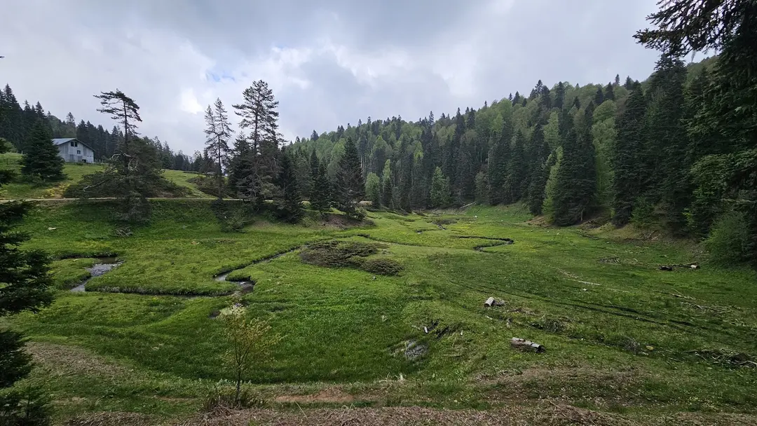 Derebalık Yaylası — Düzce — küçük resim 2