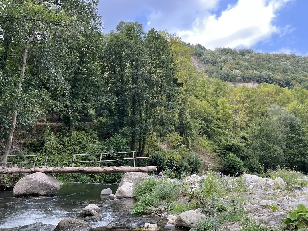 Değirmentepe Recreation Area — Düzce — küçük resim 6