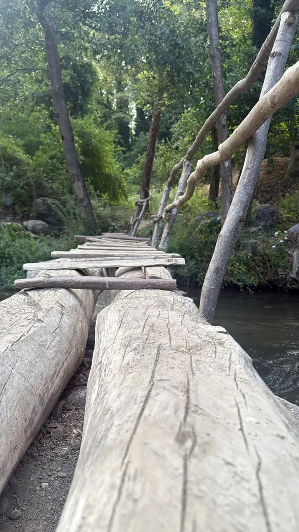 Değirmentepe Recreation Area — Düzce — küçük resim 5