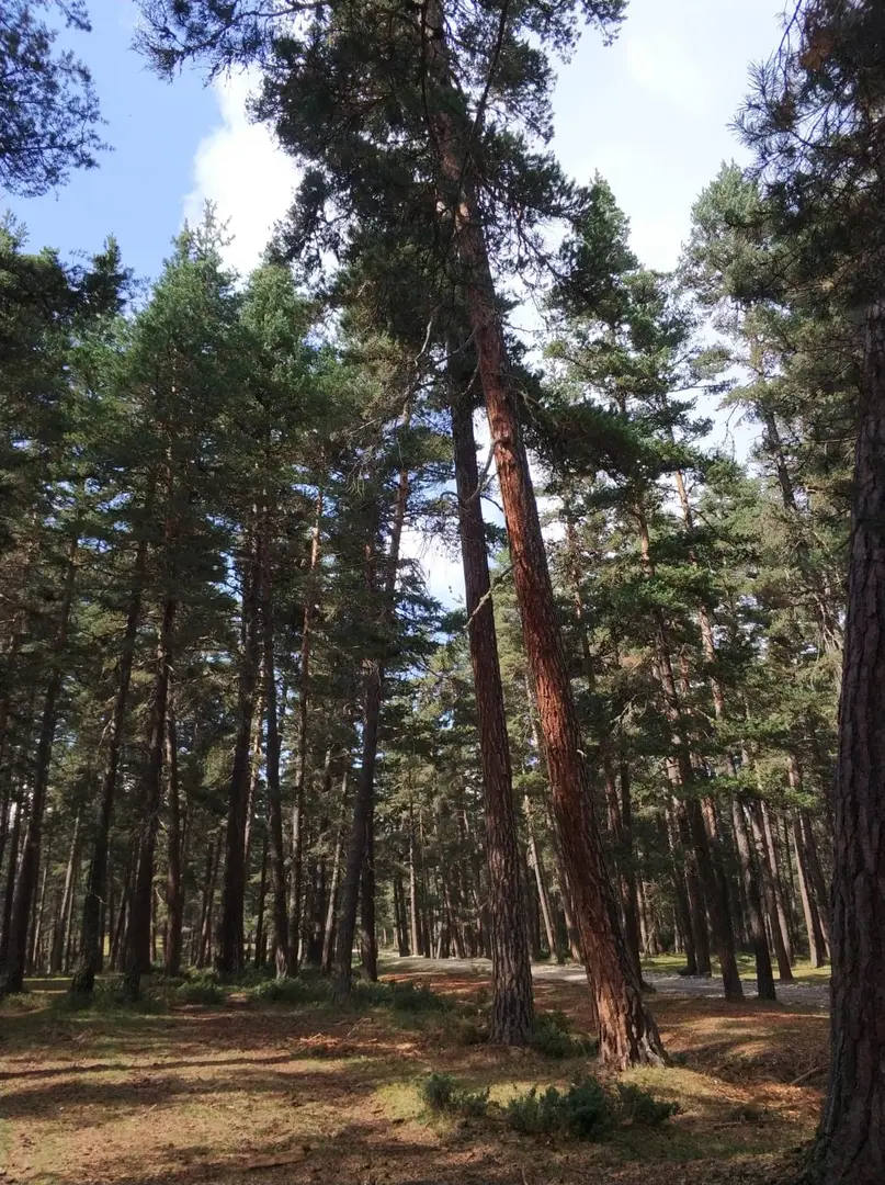 Aladağ Youth Camp — Bolu — küçük resim 5
